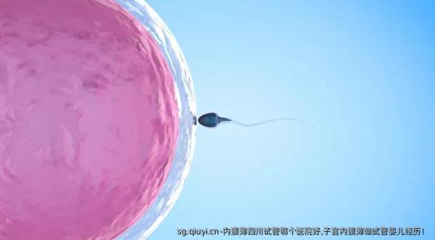 内膜薄四川试管哪个医院好,子宫内膜薄做试管婴儿经历！