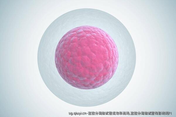 宫腔分离做试管成功率高吗,宫腔分离做试管有影响吗?！