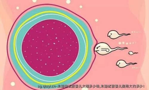 未婚做试管婴儿大概多少钱,未婚试管婴儿费用大约多少！