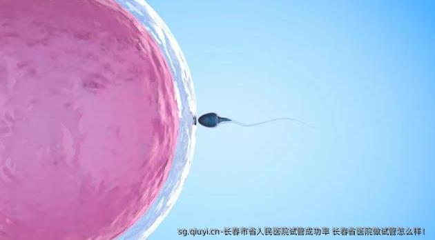 长春市省人民医院试管成功率 长春省医院做试管怎么样！