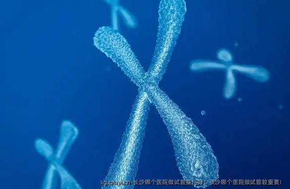 长沙哪个医院做试管婴儿好！长沙哪个医院做试管较重要！