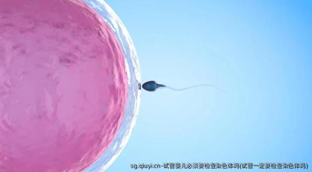试管婴儿必须要检查染色体吗(试管一定要检查染色体吗)