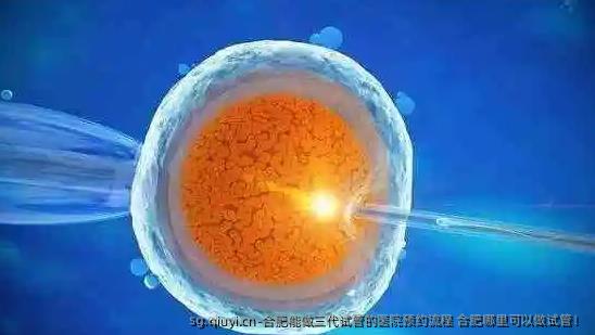 合肥能做三代试管的医院预约流程 合肥哪里可以做试管！