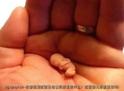 老婆接受试管后老公需要注意什么！试管婴儿老婆受罪吗！