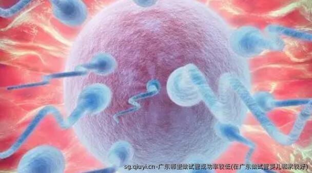 广东哪里做试管成功率较低(在广东做试管婴儿哪家较好)