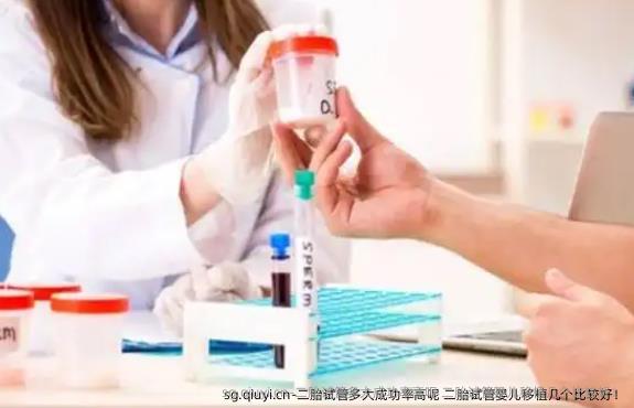 二胎试管多大成功率高呢 二胎试管婴儿移植几个比较好！