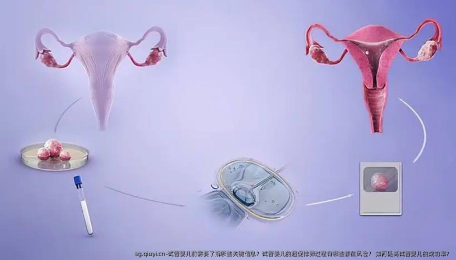 试管婴儿前需要了解哪些关键信息？试管婴儿的超促排卵过程有哪些潜在风险？ 如何提高试管婴儿的成功率？