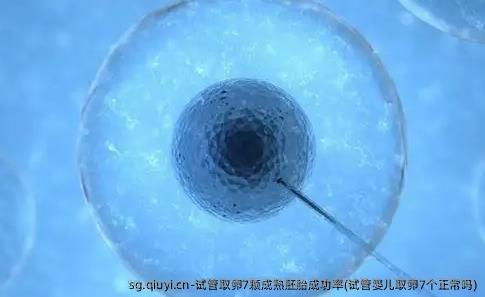试管卵泡取出7颗成熟胚胎成功率(试管婴儿卵泡取出7个正常吗)