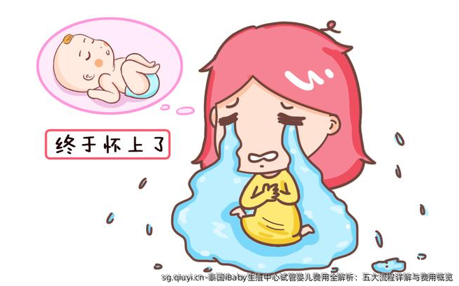 泰国iBaby生殖中心试管婴儿费用全解析：五大流程详解与费用概览