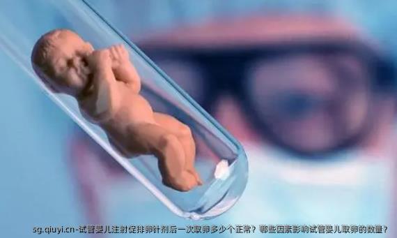 试管婴儿注射促排卵针剂后一次卵泡取出多少个正常？哪些因素影响试管婴儿卵泡取出的数量？