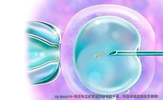 南京私立试管医院排名前十名，内含详细成功率及费用！