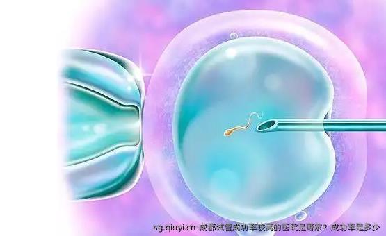 成都试管成功率较高的医院是哪家？成功率是多少