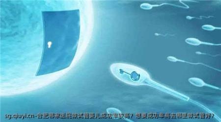 合肥哪家医院做试管婴儿成功率较高？想要成功率高去哪里做试管好？