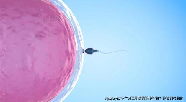 广州三甲试管医院排名？是如何排名的