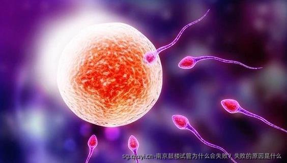 南京鼓楼试管为什么会失败？失败的原因是什么
