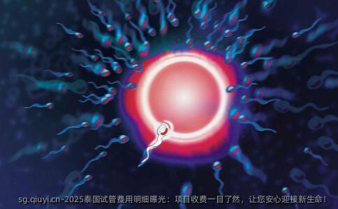 2025泰国试管费用明细曝光：项目收费一目了然，让您安心迎接新生命！