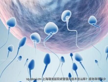 上海曙光医院试管婴儿技术怎么样？成功率有多少