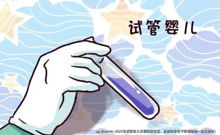 2025年试管婴儿收费项目全览：泰国助孕生子费用明细一站式解析！