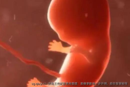 济南三代试管费用整理：准确掌握每一步开销，助你智慧省钱
