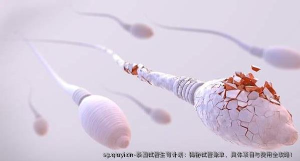泰国试管生育计划：揭秘试管账单，具体项目与费用全攻略！