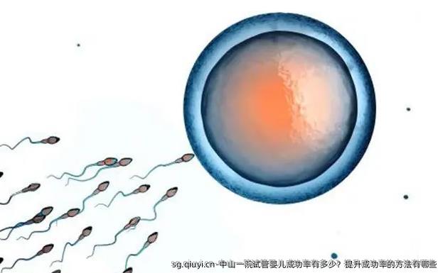 中山一院试管婴儿成功率有多少？提升成功率的方法有哪些