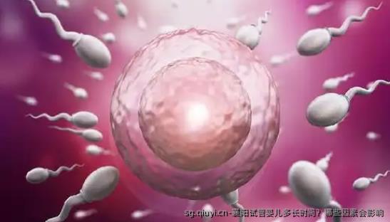 襄阳试管婴儿多长时间？哪些因素会影响