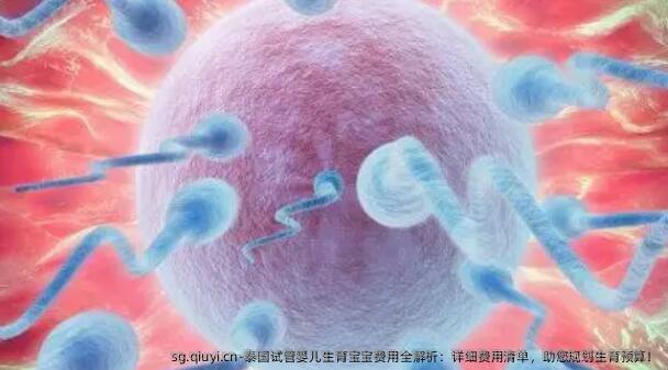 泰国试管婴儿生育宝宝费用全解析：详细费用清单，助您规划生育预算！