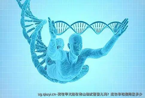 男性甲亢能在佛山做试管婴儿吗？成功率和费用是多少