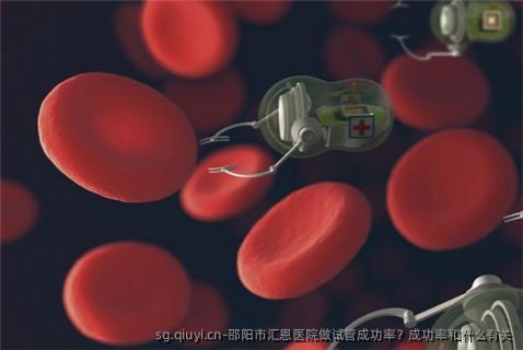 邵阳市汇恩医院做试管成功率？成功率和什么有关
