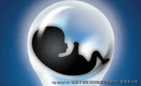 始基子宫在深圳做试管能做吗？需要多少钱