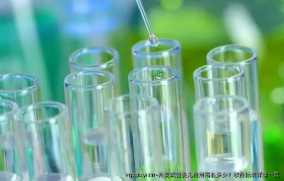 西安试管婴儿费用需要多少？收费标准详细一览
