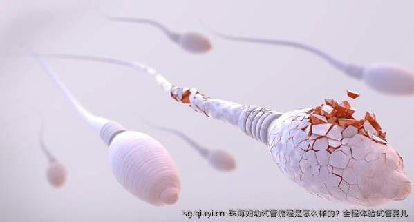 珠海妇幼试管流程是怎么样的？全程体验试管婴儿