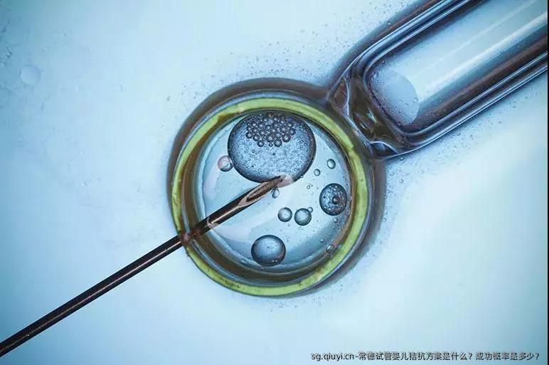 常德试管婴儿拮抗方案是什么？成功概率是多少？