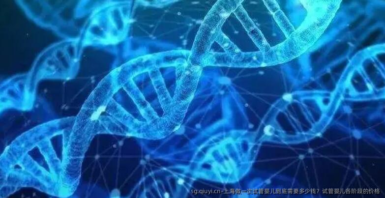 上海做一次试管婴儿到底需要多少钱？试管婴儿各阶段的价格