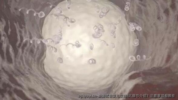 泰国试管婴儿攻略8大细节介绍？注意事项有哪些