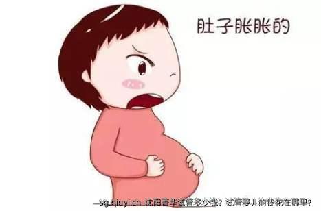 沈阳菁华试管多少钱？试管婴儿的钱花在哪里？