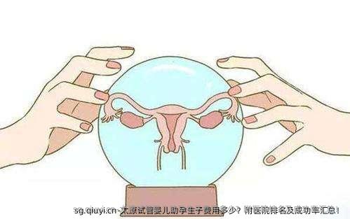 太原试管婴儿助孕生子费用多少？附医院排名及成功率汇总！
