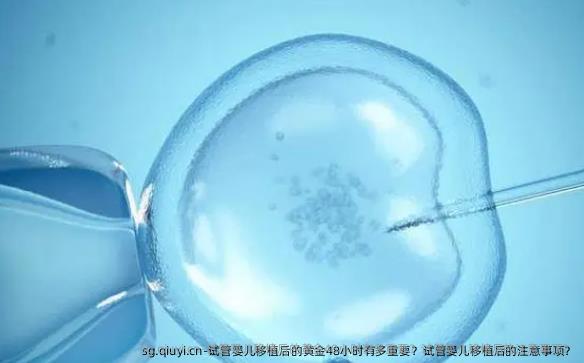 试管婴儿移植后的黄金48小时有多重要？试管婴儿移植后的注意事项？