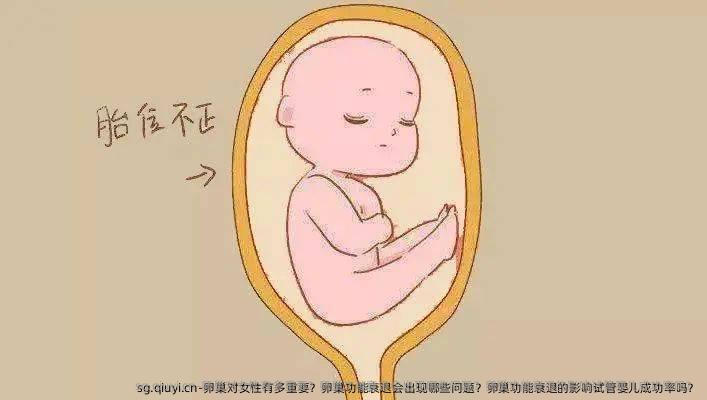 卵巢对女性有多重要？卵巢功能衰退会出现哪些问题？卵巢功能衰退的影响试管婴儿成功率吗？