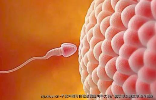 子宫内膜异位做试管成功率大吗？成功率及注意事项有哪些