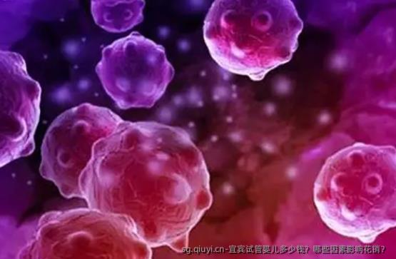 宜宾试管婴儿多少钱？哪些因素影响花销？