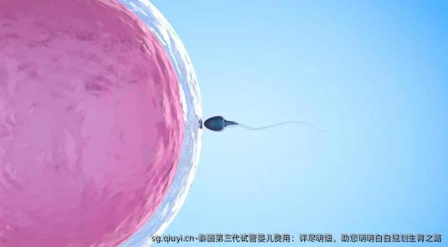 泰国第三代试管婴儿费用：详尽明细，助您明明白白规划生育之路