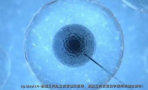 泰国三代私立试管医院推荐，泰国三代试管助孕费用明细全解析！