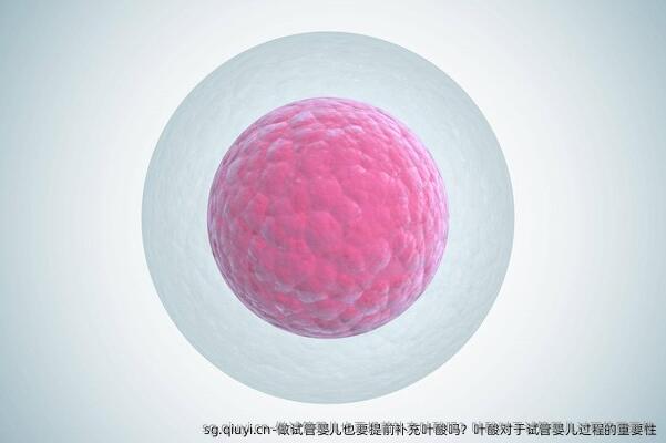 做试管婴儿也要提前补充叶酸吗？叶酸对于试管婴儿过程的重要性