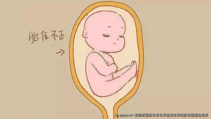 沈阳试管成功率有多高成功率的影响因素比较多