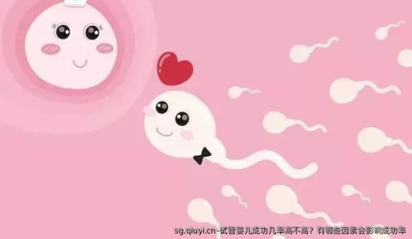 试管婴儿成功几率高不高？有哪些因素会影响成功率