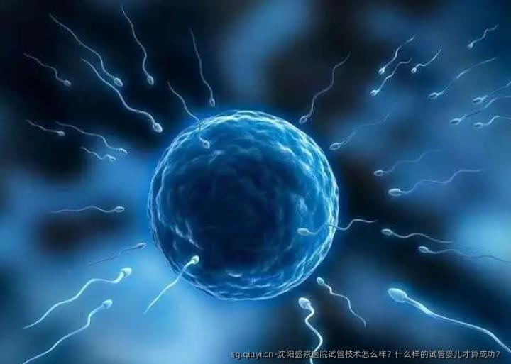 沈阳盛京医院试管技术怎么样？什么样的试管婴儿才算成功？