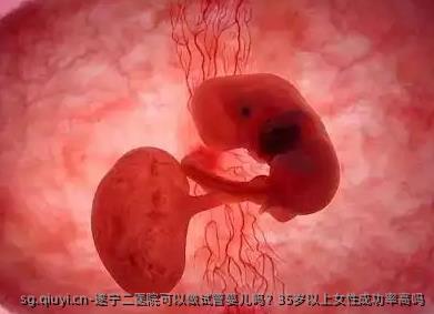 遂宁二医院可以做试管婴儿吗？35岁以上女性成功率高吗