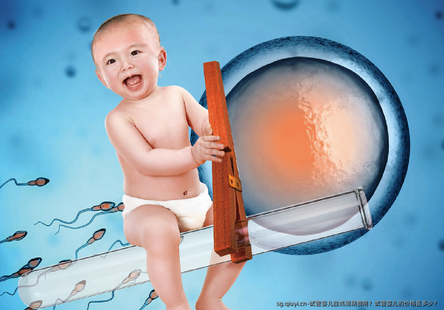 试管婴儿自然周期费用？试管婴儿的价格是多少？