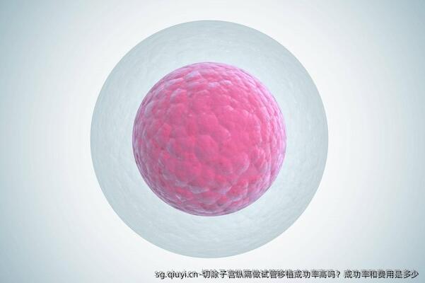 切除子宫纵隔做试管移植成功率高吗？成功率和费用是多少